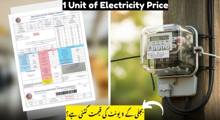 1 unit of Electricity price